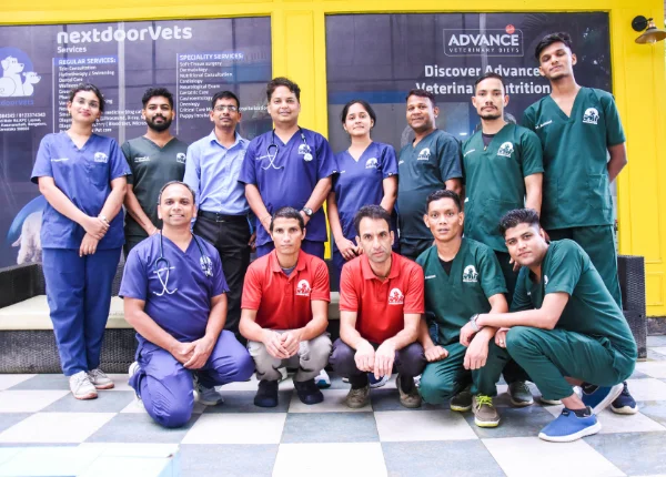 Kasavanahalli-doctor-team