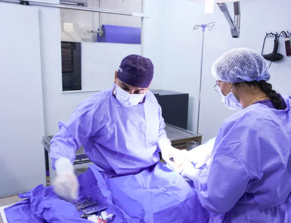 Surgery & Advanced Procedures