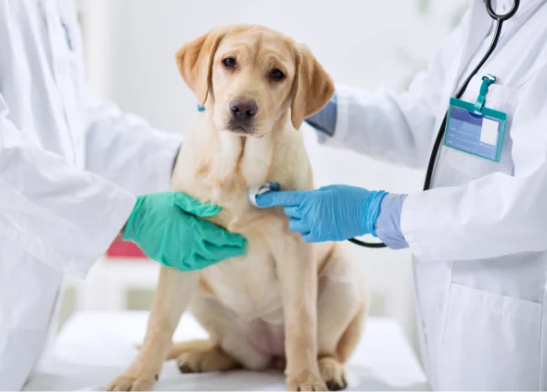 critical-care-capabilities