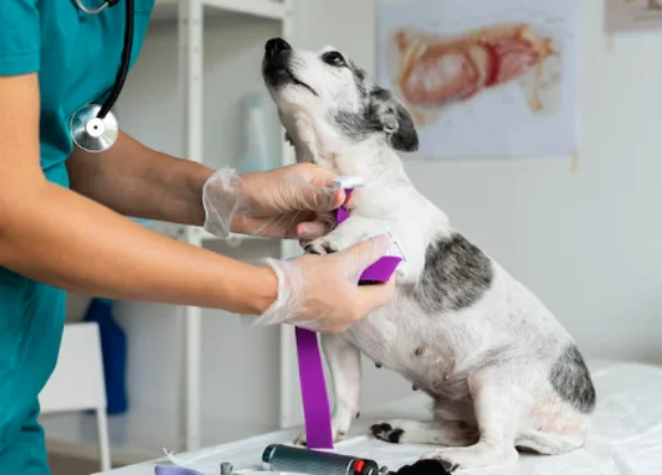 critical-care-monitoring-why-choose