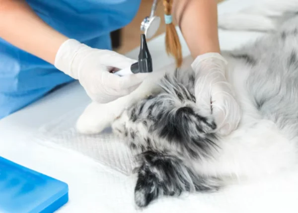 critical-care-monitoring