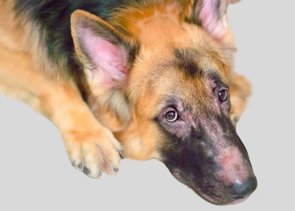 dermatology-why-choose