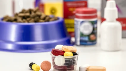 diagnostic-evaluations