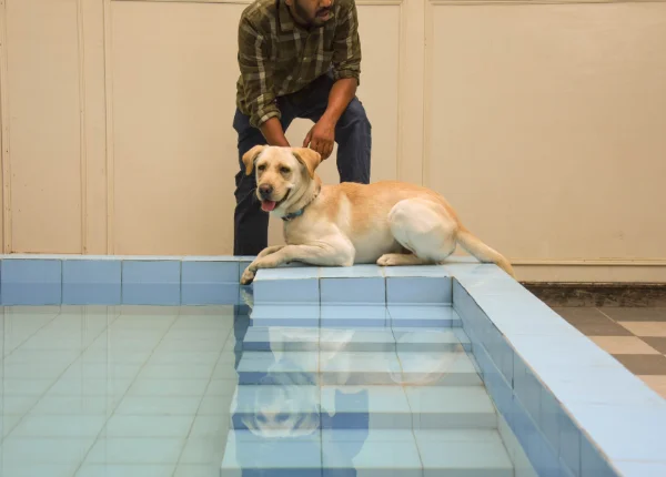 hydrotherapy-benefits