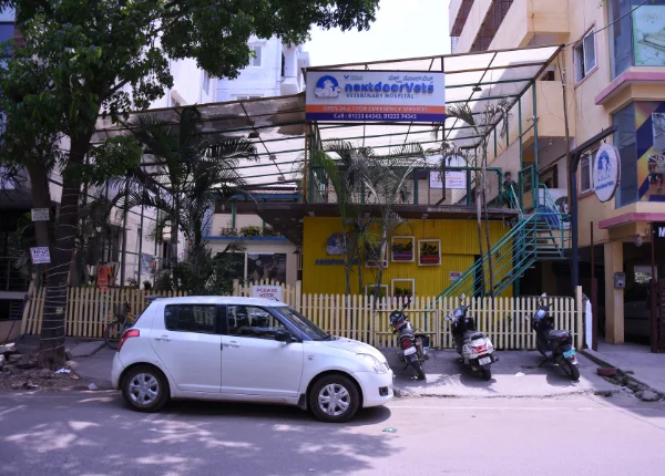 kasavanahalli-branch-interance