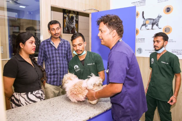 kasavanahalli-doctor-care