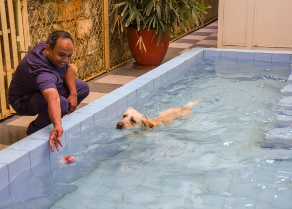 kasavanahalli-swimming