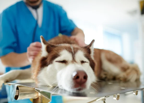 neurological-exams-include