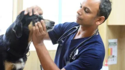 Physical Examination