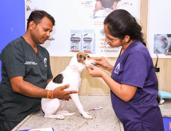 Preventive & Routine Care