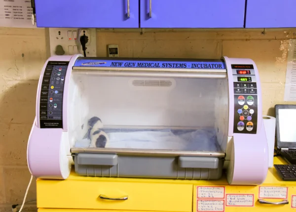 puppy-incubator