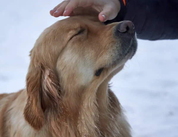 surgery-why-choose-us