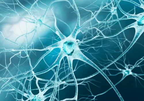 neurological-assessment